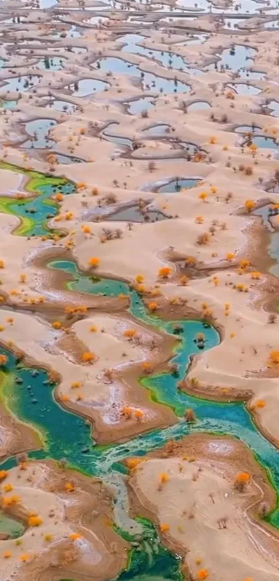 Aerial view of desert oasis with streams.