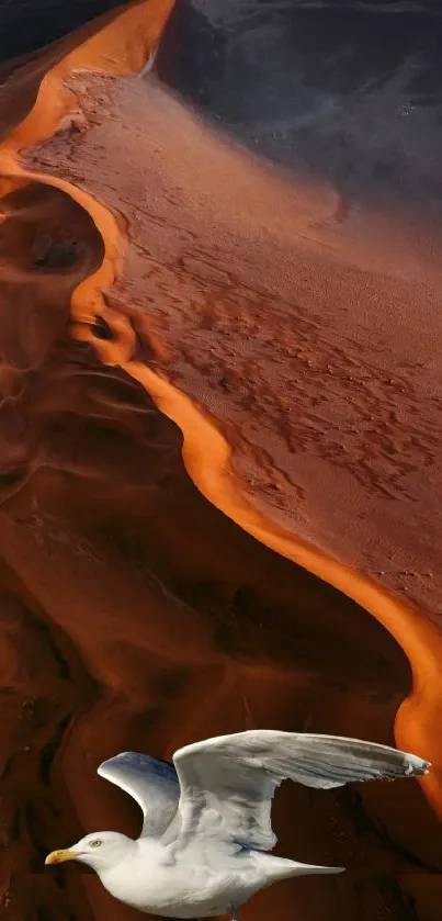 Seagull soaring over vibrant orange desert dunes.