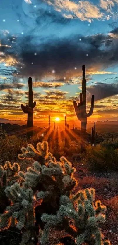 Desert sunset with towering cacti and glowing sky.