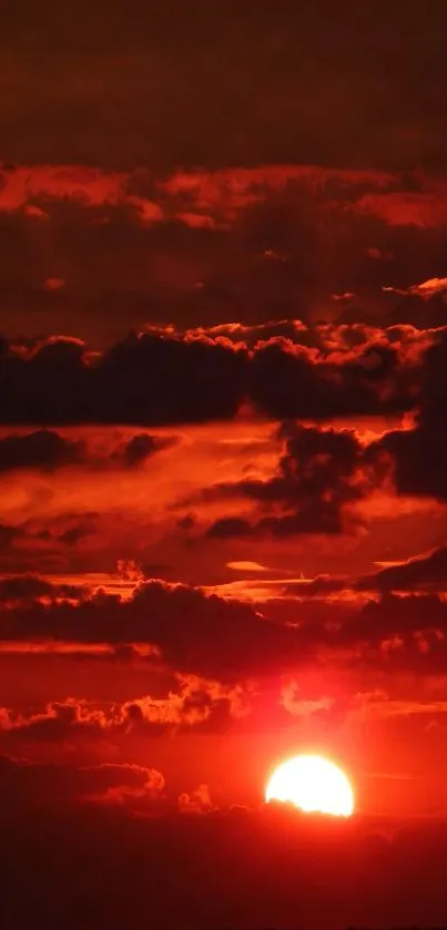 Fiery sunset with vivid red and orange clouds, creating a dramatic sky scene.