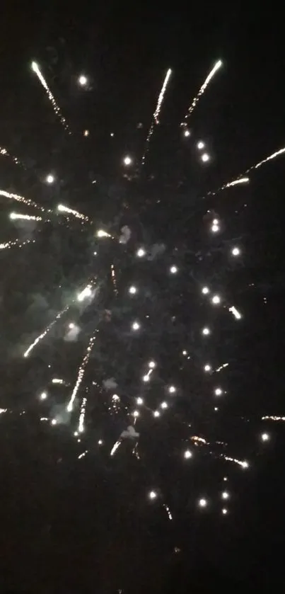 Vibrant fireworks display illuminating a night sky.