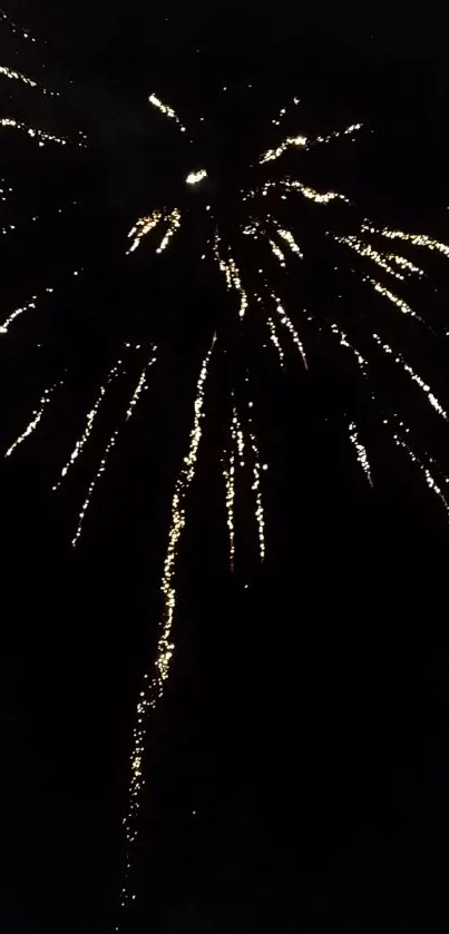 A stunning fireworks display against a dark night sky.