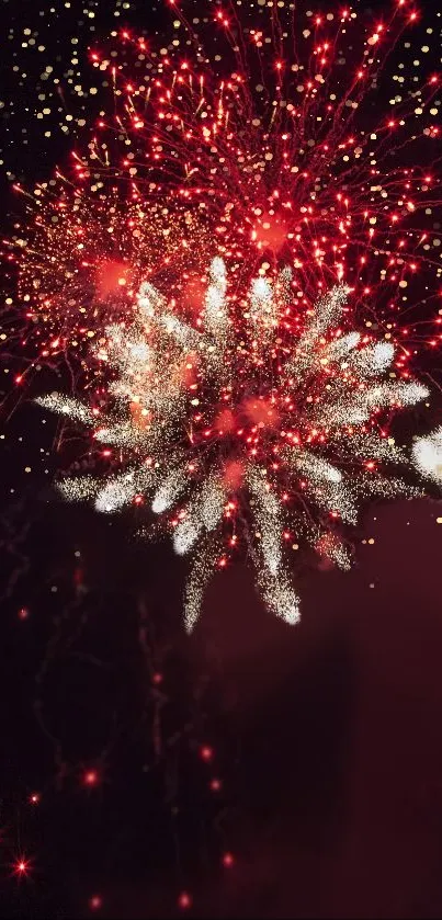 Vibrant red fireworks lighting up the night sky.