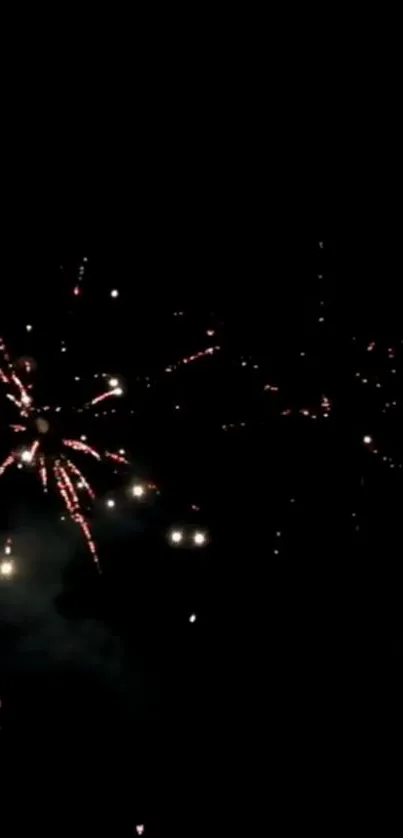 Vibrant fireworks explode in the night sky against a black background.