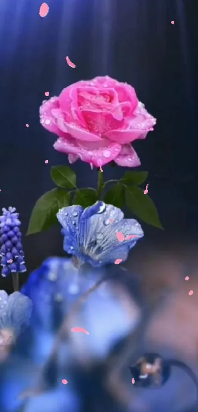 Beautiful pink rose with blue flowers wallpaper.