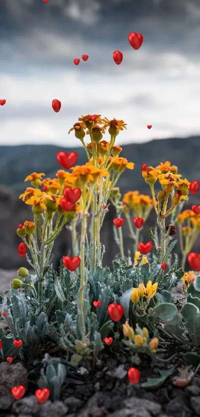 Vivid orange wildflowers with mountains in background.