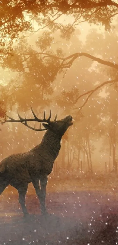 Majestic deer in a misty sunset forest setting.