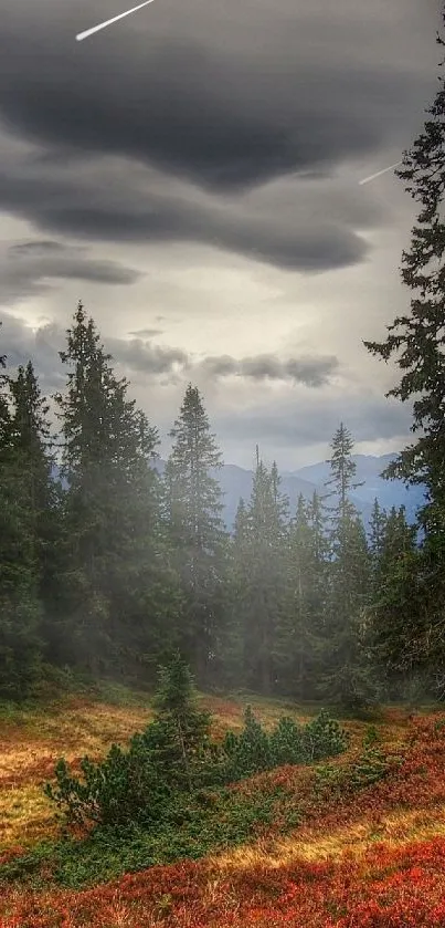 Serene forest landscape with autumn colors and cloudy sky.