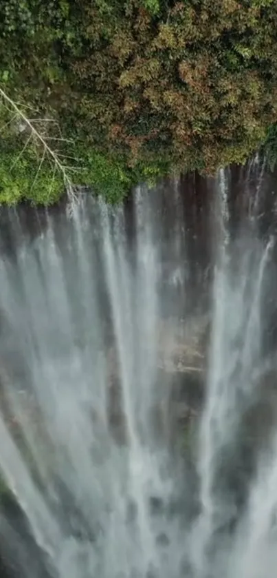 Aerial view of a waterfall in a lush forest.