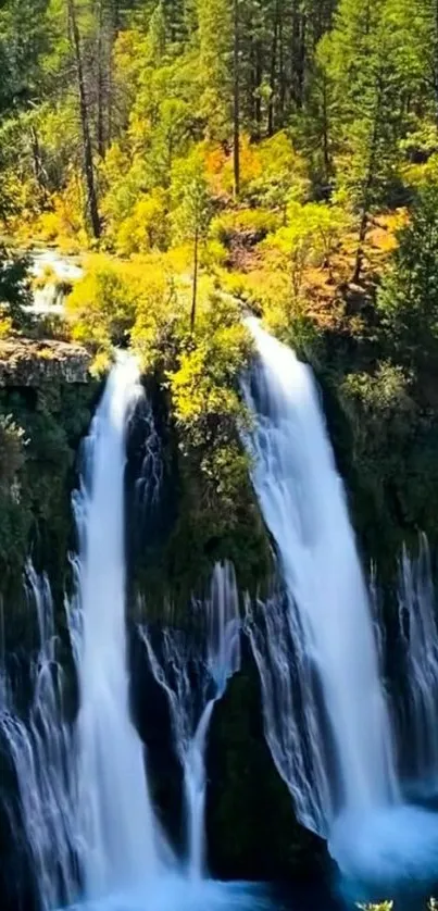 Beautiful waterfall in a lush forest mobile wallpaper.