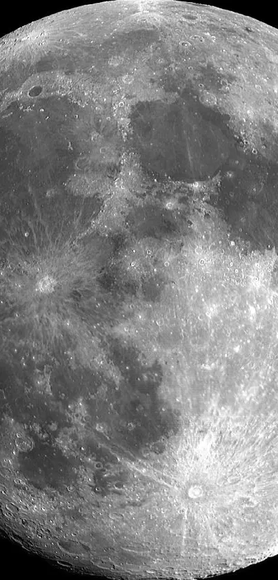 Detailed full moon against black background.