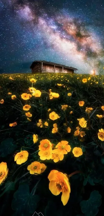 Starry sky over yellow flower field at night.