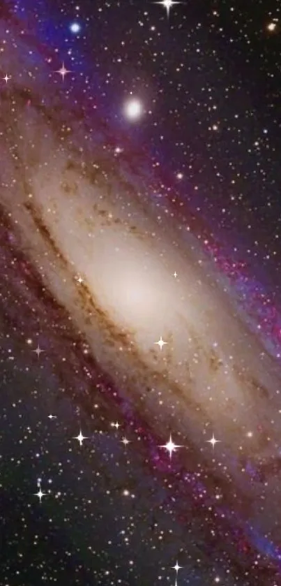 Andromeda Galaxy in a majestic star-filled night sky