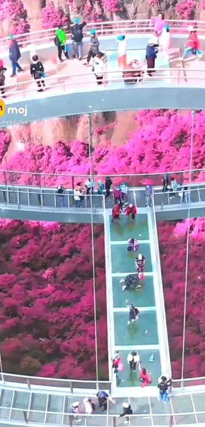 Glass bridge above vibrant pink landscape with tourists.