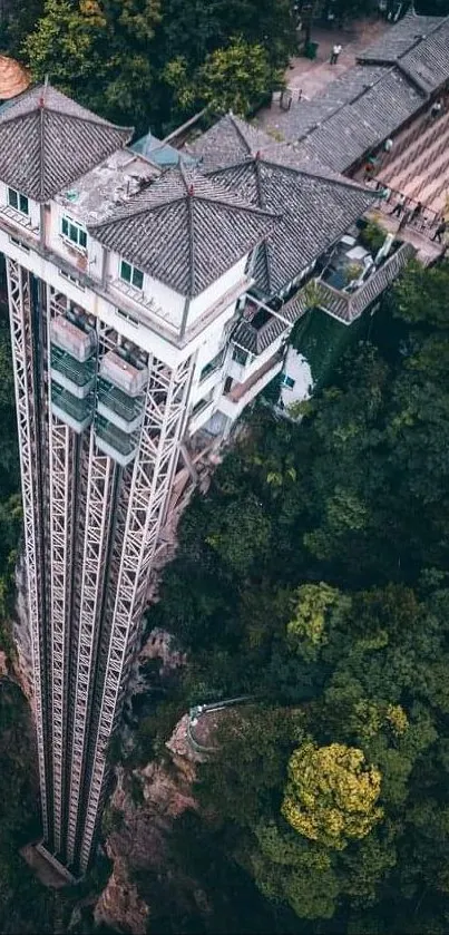 Glass elevator amidst lush forest landscape for mobile wallpaper.