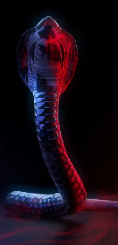 Neon glowing cobra with a vibrant red and blue hue on a dark background.