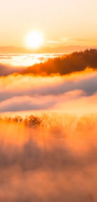 Golden sunrise landscape with mist and soft sunlight creating a serene view.