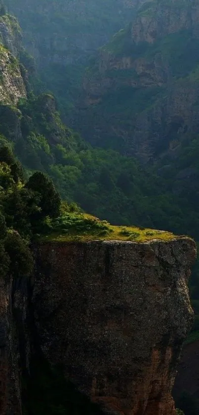 Breathtaking view of lush green gorge with cliffs under dramatic lighting.