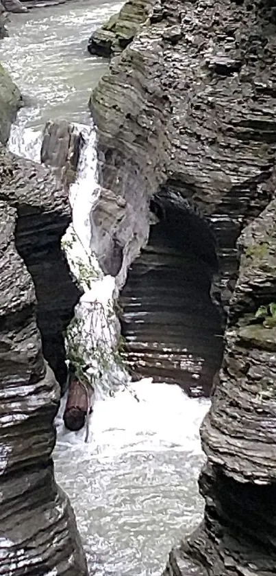 River flowing through a rocky gorge with greenery.