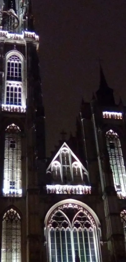 Night view of Antwerp Cathedral illuminated with gothic architectural details.