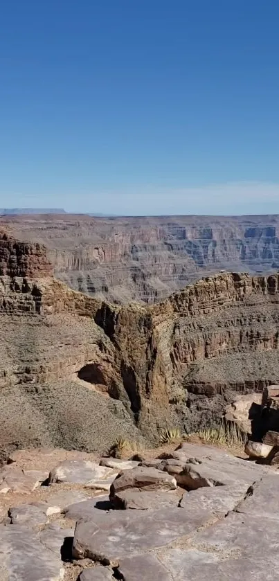 Grand Canyon with expansive view and clear blue sky, perfect for mobile wallpaper.