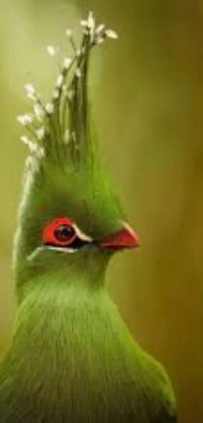 Exotic green bird with striking crest on wallpaper.