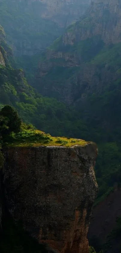 Wallpaper featuring a green canyon with cliffs and lush vegetation.