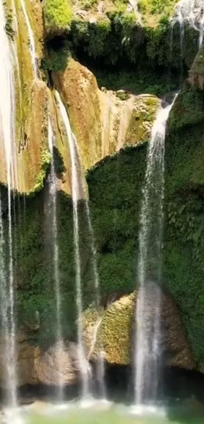 Lush green waterfall cascading over mossy rocks.