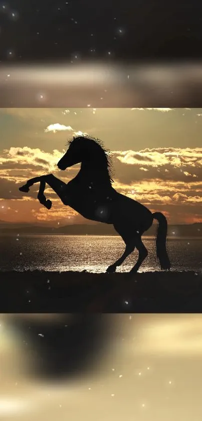 Majestic horse silhouette against a golden sunset background.