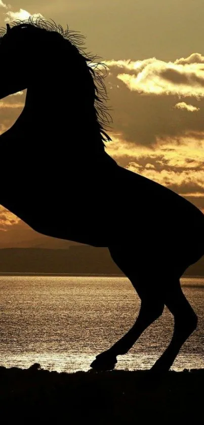 Silhouette of a rearing horse against a golden sunset.