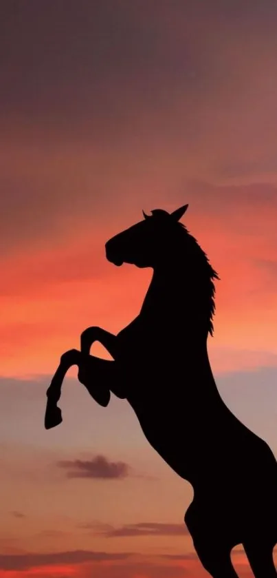 Silhouette of rearing horse against vibrant sunset sky.