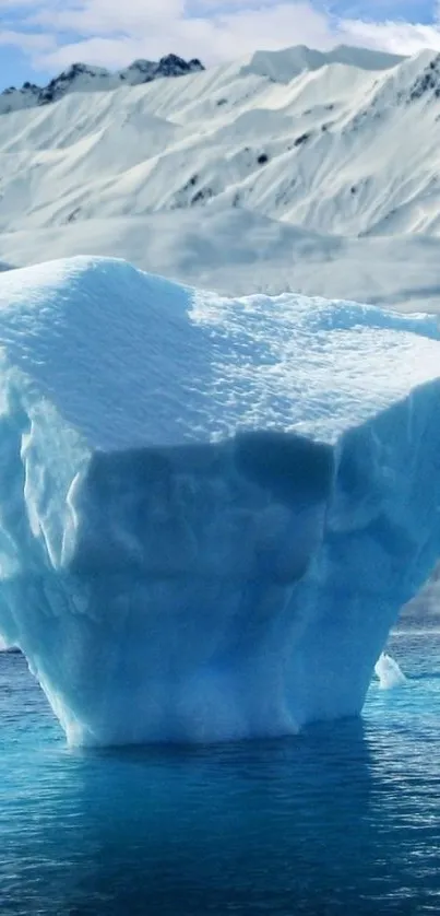 Serene iceberg with snowy mountains in the background.