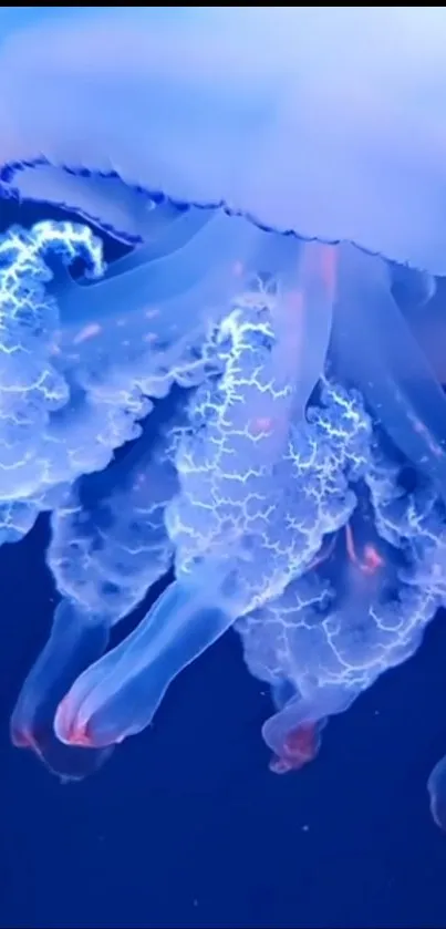 Mesmerizing jellyfish with bioluminescent glow in deep ocean blue.