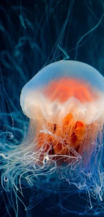 Enchanting jellyfish glows in a deep blue ocean backdrop, perfect for mobile wallpaper.