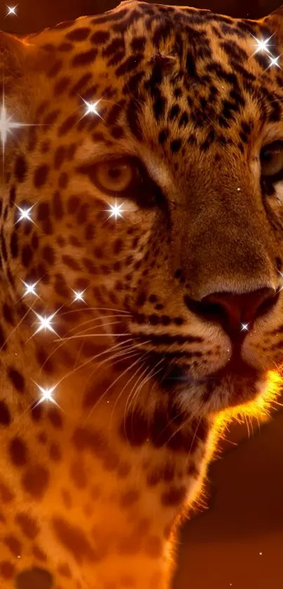 Leopard with sparkling stars in rich, warm orange hues.