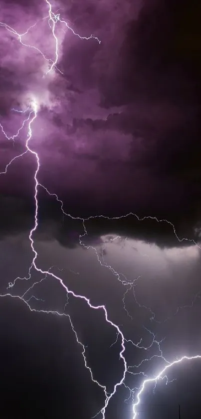 Dramatic lightning storm with purple sky, capturing nature's electric beauty.