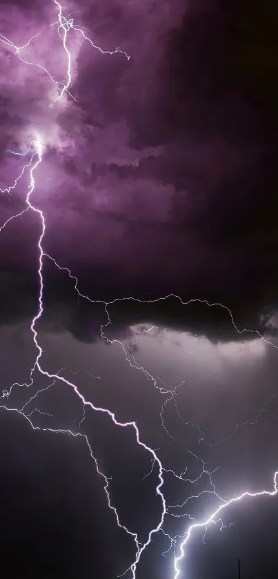 Vivid lightning strikes in a stormy purple sky.