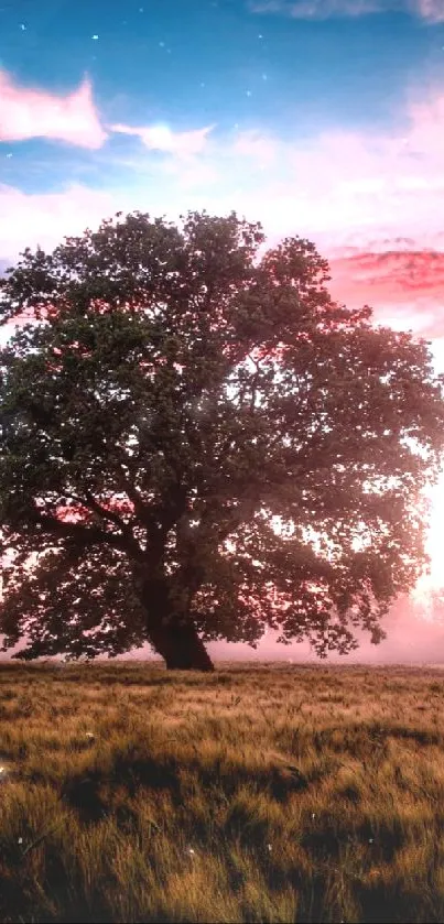 Lone tree at sunset amidst tranquil, scenic landscape.