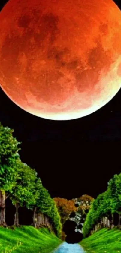 Lunar eclipse with a red moon over a tree-lined path, creating a stunning view.