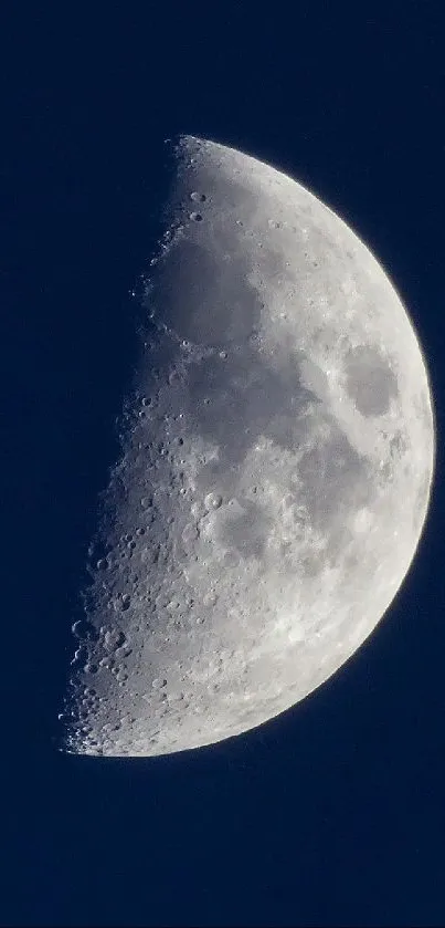 Half moon with detailed craters in a dark blue sky.