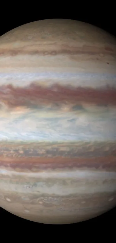 Mobile wallpaper featuring Jupiter's brown and white bands in vibrant detail.