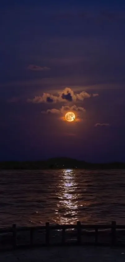 Moonlit ocean view with reflective waters and dark sky.