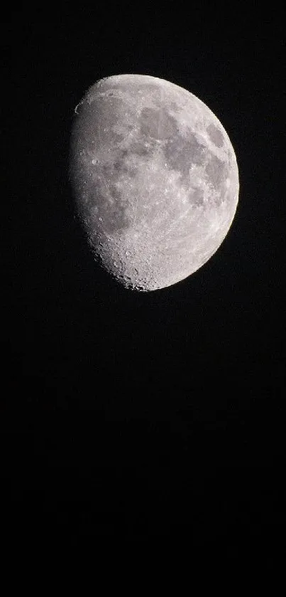 Crisp image of a glowing moon against a dark night sky.