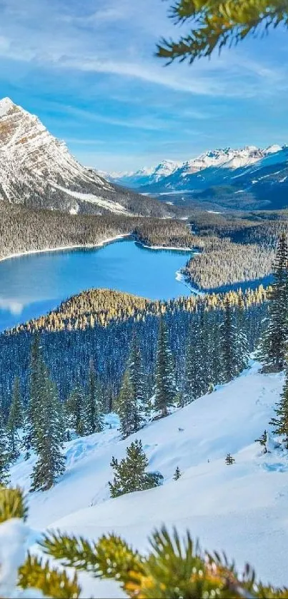 Mountain lake with snowy peaks and lush forest.