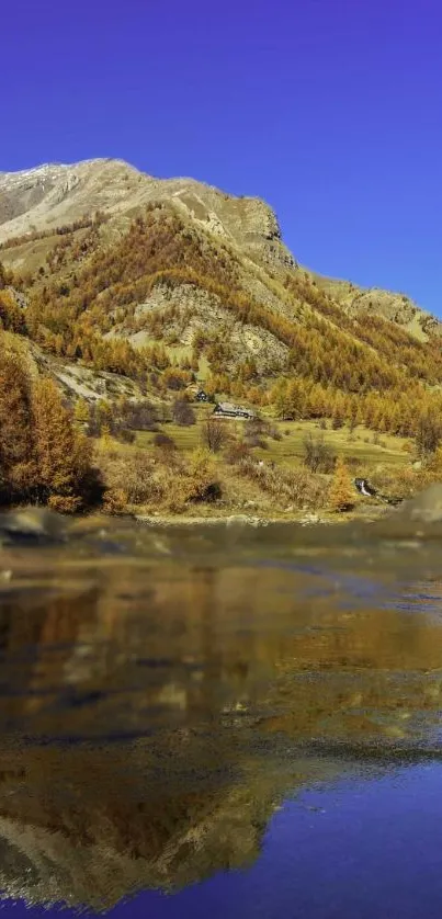 Serene mountain lake with autumn trees and reflections.