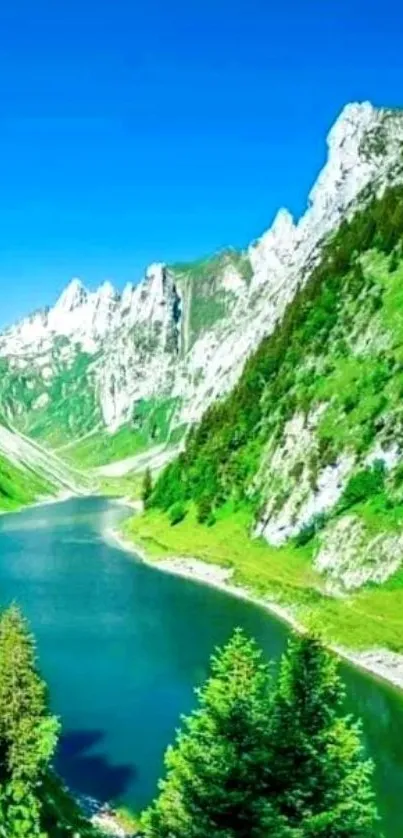 Breathtaking view of a mountain lake surrounded by lush greenery and rugged mountains.