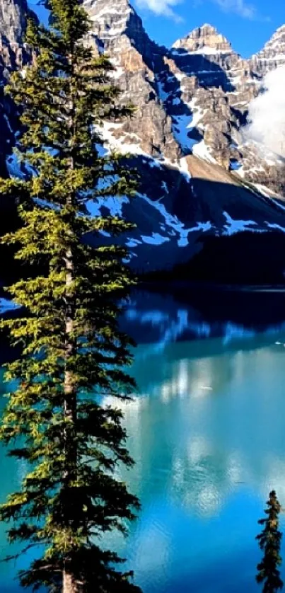 Stunning mountain lake view with blue waters and pine trees.