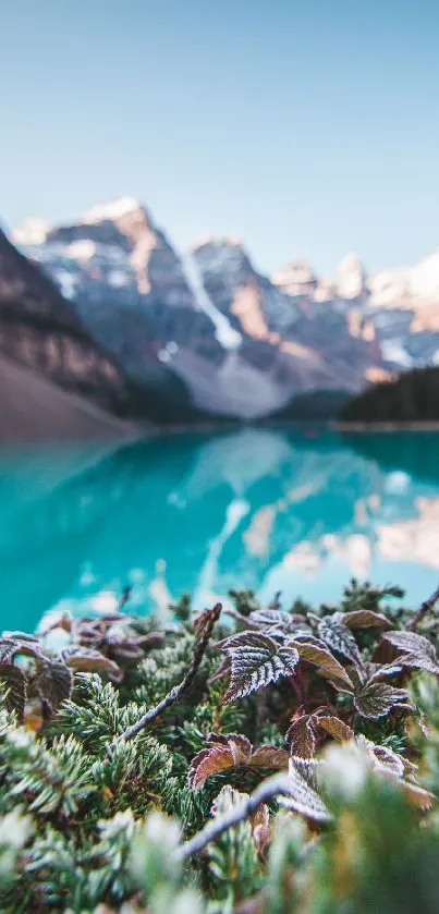 Serene mountain lake with snow peaks and vibrant greenery wallpaper.