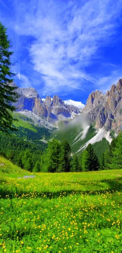 Mountain landscape with blue sky and green meadow.