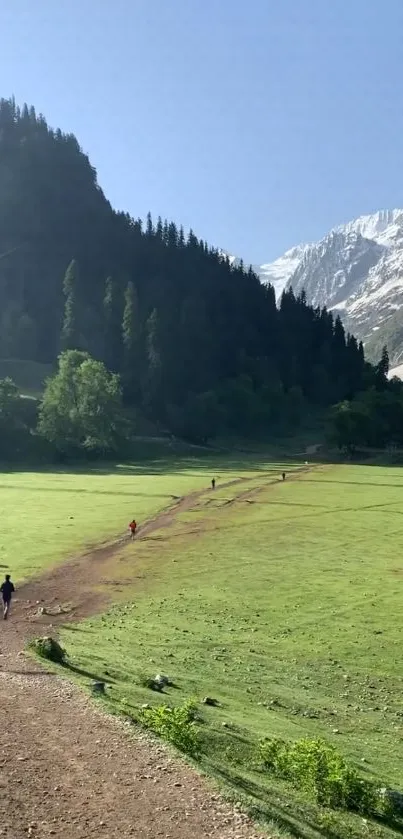 Scenic mountain landscape with green meadows and snow-capped peaks.